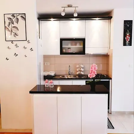 Studio Apartman Bacinka 公寓 *