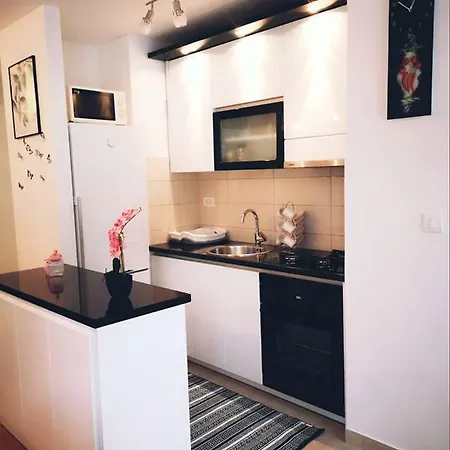 Studio Apartman Bacinka 公寓 普洛切